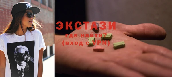 гидра Братск
