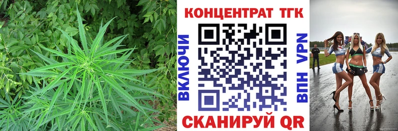 ТГК THC oil  магазин    гидра вход  Фрязино 