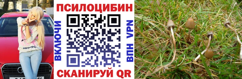Галлюциногенные грибы GOLDEN TEACHER купить Фрязино