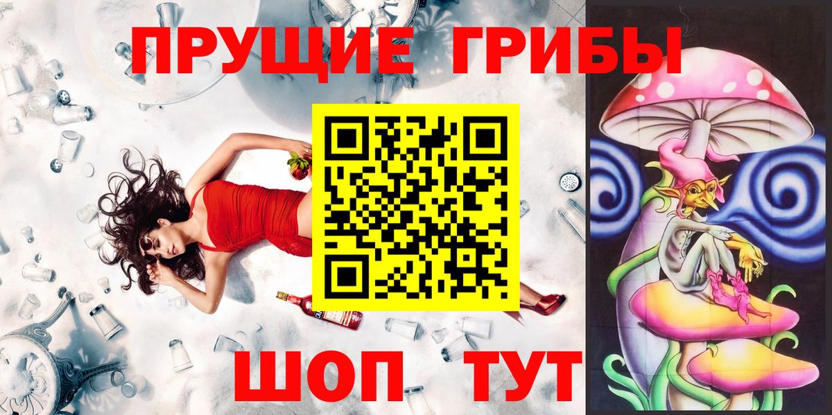 Псилоцибиновые грибы GOLDEN TEACHER Фрязино