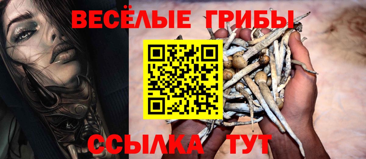 Фрязино  Псилоцибиновые грибы прущие грибы  Вход с VPN  Псилоцибиновые грибы Cubensis 